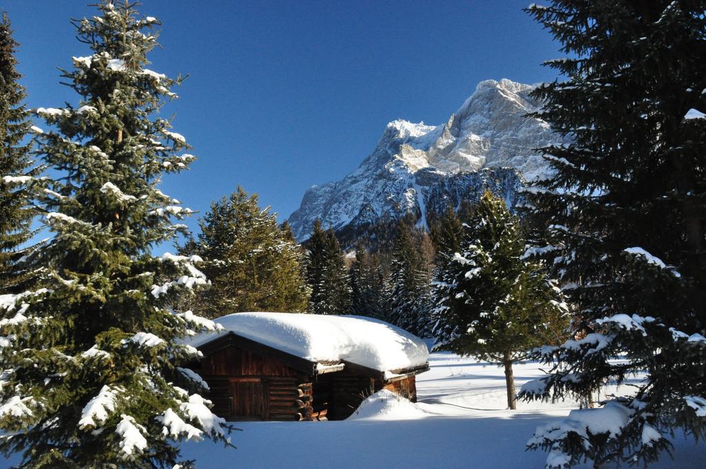 Hotel Alpen Residence Ehrwald Eksteriør bilde